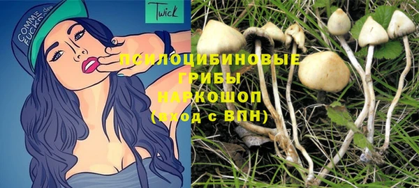 гашик Алексеевка