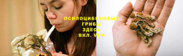 героин Алзамай