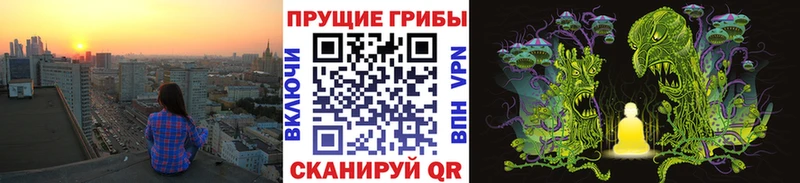 Галлюциногенные грибы ЛСД  наркота  Покров 
